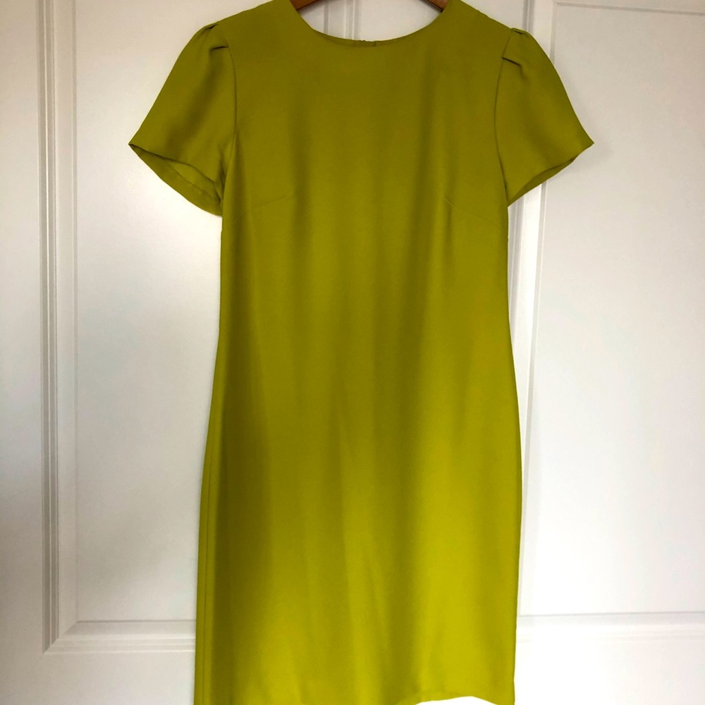 Banana Republic Green Shift Dress